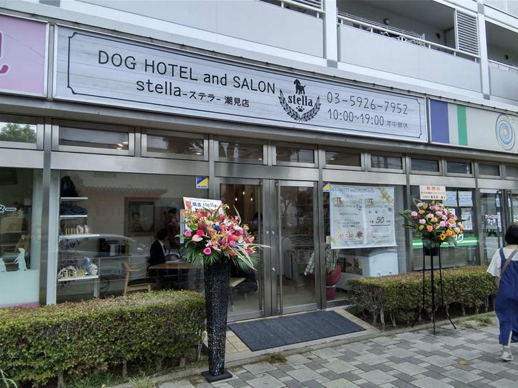 【潮見駅前プラザ一番街】「DOG HOTELandSALON stella」がオープンしました！のイメージ